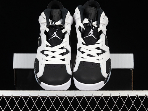 Air Jordan 6 - 184647563