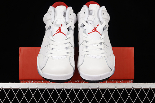 Air Jordan 6 - 184647503